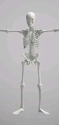 This phone live wallpaper features a bone-chilling image of a detailed skeleton standing in front of a gray background