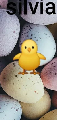 This phone live wallpaper features a yellow bird perched atop a pile of eggs, set against a lavander and yellow color scheme that exudes warm vibes