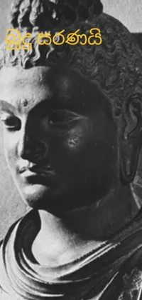 This live wallpaper displays a captivating black and white photograph of a serene statue that resembles Buddha