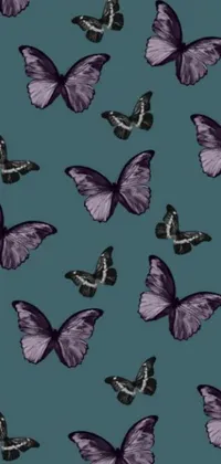 This live wallpaper for your phone features a group of purple butterflies against a blue backdrop
