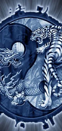 This live wallpaper showcases a visually stunning blue and white image of a dragon and tiger