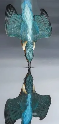 This phone live wallpaper showcases a remarkable depiction of a bird standing in water, boasting stunning realism and incredible detail