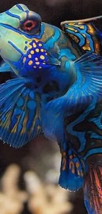 This phone live wallpaper features an exquisitely detailed and vivid close-up of a fish in an aquarium