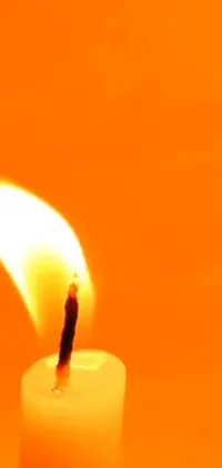 This phone live wallpaper features a realistic animated candle sitting on a table in front of an orange background