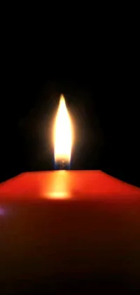 Illuminate your phone screen with a stunning live wallpaper featuring a red candle in the dark