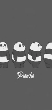 This is a phone live wallpaper featuring a group of panda bears standing together in a whimsical kawaii style