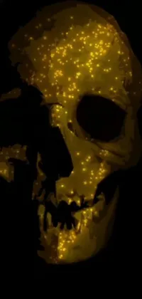 This phone live wallpaper showcases a detailed close-up of a skull set against a dark background