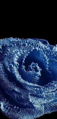 Elevate your phone with this stunning blue rose live wallpaper