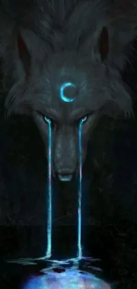 If you're a fan of digital art, particularly for your mobile phone's wallpaper, then you'll love this live wallpaper! It features a concept art painting of a powerful wolf with glowing eyes, complete with tears that add to the image's emotion