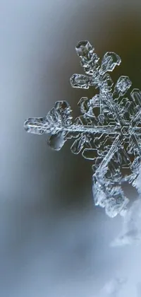 This live wallpaper features a beautiful snowflake atop a snow-covered ground