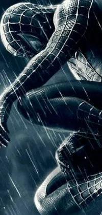 Experience the excitement of your favorite superhero with this dynamic live wallpaper featuring a black and white photo of Spider-Man in the rain