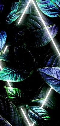 Looking for a mesmerizing phone live wallpaper to personalize your device? Look no further than this stunning digital art design with a focus on leaves and light