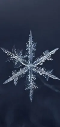 This phone wallpaper offers an attractive and realistic view of a snowflake on a black background