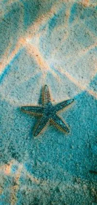 Looking for a soothing, underwater-inspired phone live wallpaper? Look no further than this high-quality starfish image atop a sandy beach