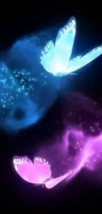 This live phone wallpaper showcases two glowing butterflies in an animated still screencap with blue and purple vapor trails