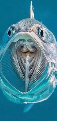 Get mesmerized by this stunning and detailed close-up live wallpaper of a fish with its mouth open