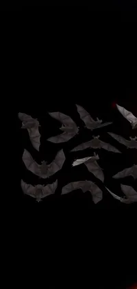 This live wallpaper depicts a group of bats soaring against a sun-kissed sky