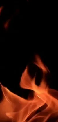 This stunning live wallpaper features a mesmerizing scene of a burning fire set against a deep black background