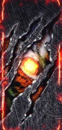 Tiger  Live Wallpaper