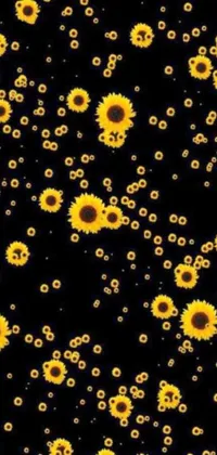 This phone live wallpaper boasts a stunning image of sunflowers against a black background