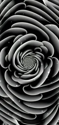 This live phone wallpaper features a black and white image of a rose, inspired by M