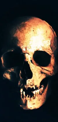 This live wallpaper features an eerie close-up photograph of a skull in the dark