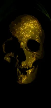 This phone live wallpaper is a digital art masterpiece featuring a close up of a skull in a dark ambiance