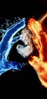 This live phone wallpaper captures two hands touching each other with vibrant flames in an orange and blue color palette