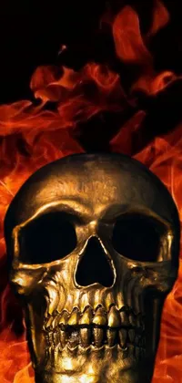 Looking for a striking live wallpaper for your phone? Look no further than this gold skull design, featuring a vivid, fiery mix of sots art-inspired graphics