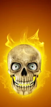 This live wallpaper boasts a blazing skull with blue eyes on a bold orange background - a digital creation by an accomplished artist