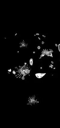 This black and white live wallpaper features a stunning microscopic photo of various objects, generating dynamic visuals that continuously evolve and capture attention
