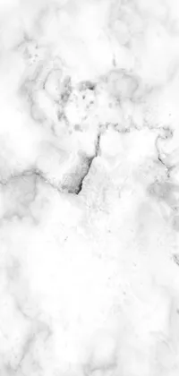 Art Monochrome Snow Live Wallpaper
