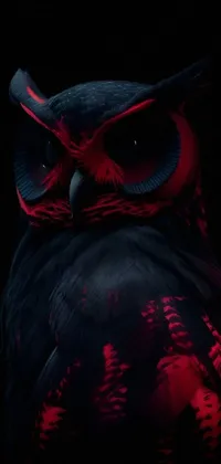 Art Owl Eyewear Live Wallpaper