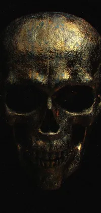 This phone live wallpaper features a striking close-up of a skull on a black background, with elaborate gold designs adding a touch of luxury and elegance
