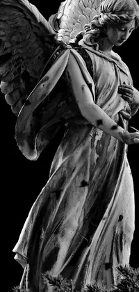 This live phone wallpaper showcases a black and white photograph of a breathtaking angel statue