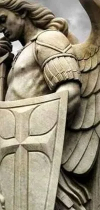 Transform your phone into a mystical world with this stunning live wallpaper featuring an intricately-designed statue of an angel holding a shield