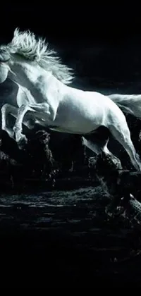This phone live wallpaper features a majestic white horse galloping through a serene body of water