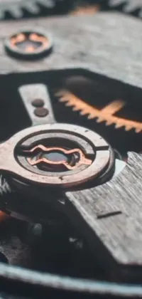 Art Wood Circle Live Wallpaper