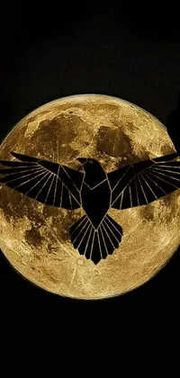 This live phone wallpaper showcases a bird soaring in front of a magnificent full moon