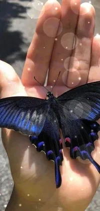 This captivating phone live wallpaper showcases an intricate illustration of a butterfly held delicately in a human hand