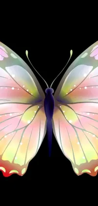 Add a lovely touch of nature to your phone with this stunning and colorful butterfly live wallpaper