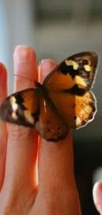 This live wallpaper features a delicate butterfly resting in the palm of a hand