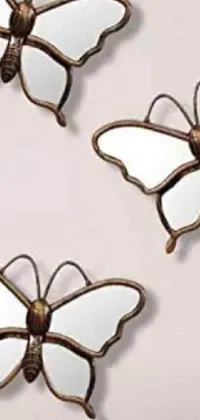 Arthropod Butterfly Pattern Live Wallpaper