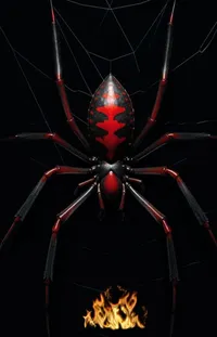 Arthropod Insect Arachnid Live Wallpaper