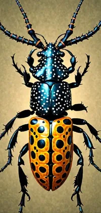 Arthropod Insect Blue Live Wallpaper