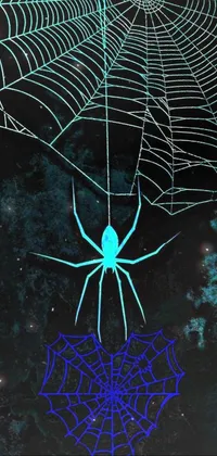 This live wallpaper for your phone features a stunning close-up of a spider on its web