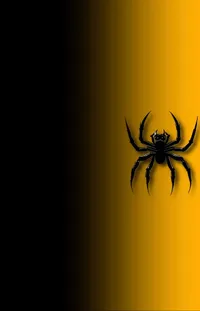 Arthropod Insect Spider Live Wallpaper