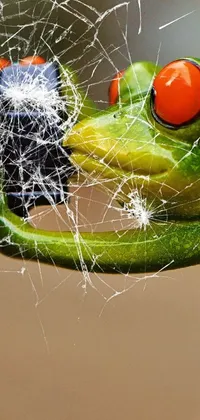 Mr.Froggy Live Wallpaper