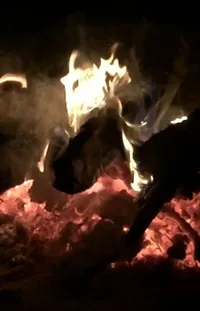 Ash Bonfire Heat Live Wallpaper