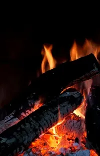 Ash Fire Flame Live Wallpaper